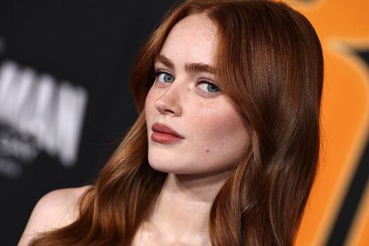 🔥 Sadie sink page leaked private photo uncensored full