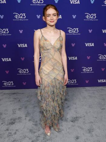 🔥 Sadie sink page leaked private photo uncensored full