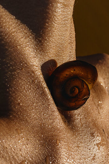 🔥 Solomia maievska page leaked private photo uncensored full